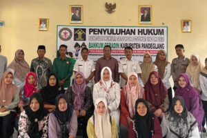 dok6