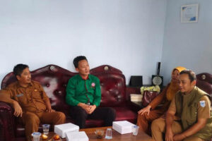 dok8